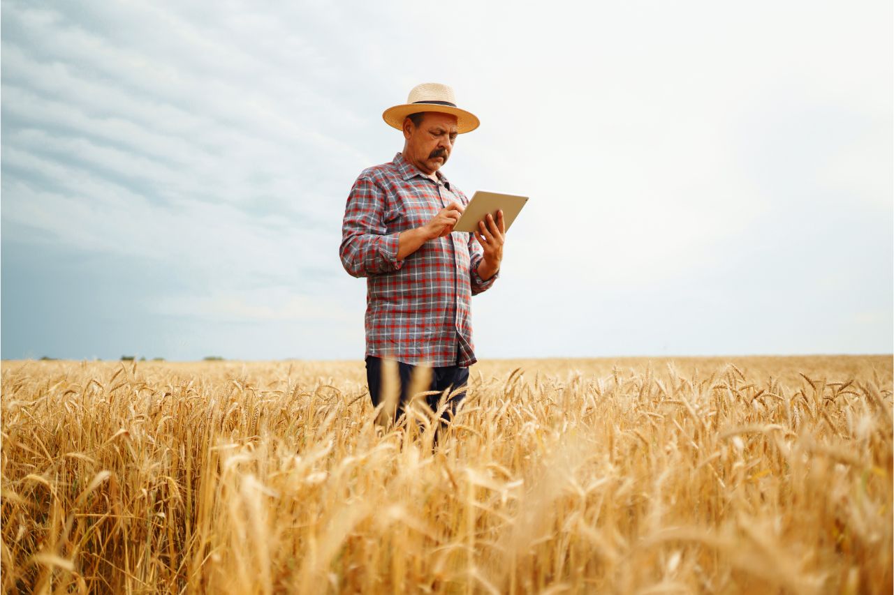 Conheça os impactos da tecnologia na agricultura