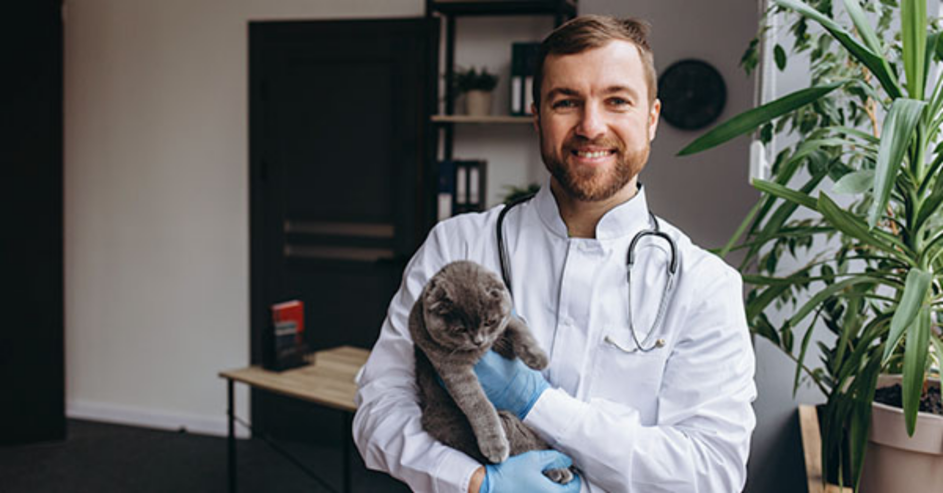 5 pesquisas e novidades na Medicina Veterinária