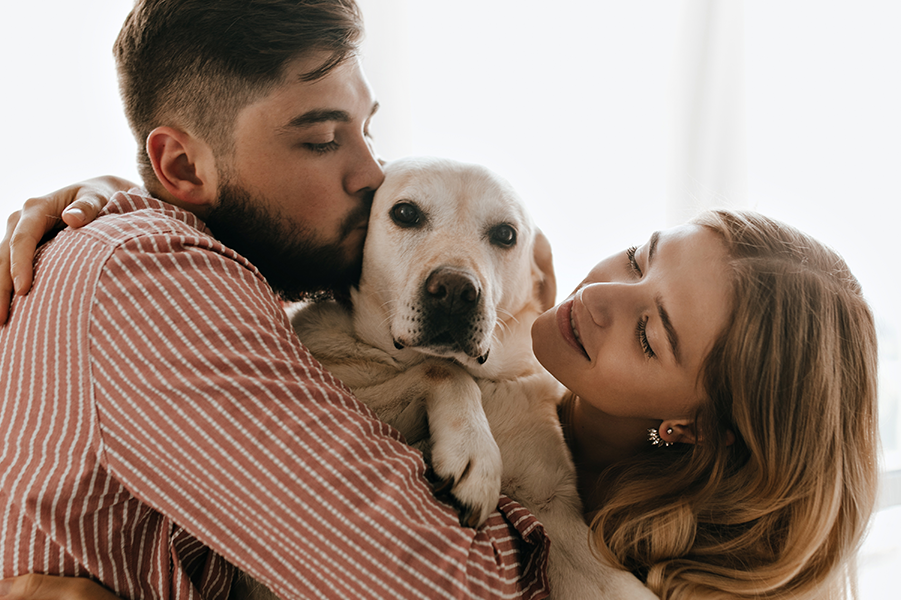 Pets: é preciso cuidar da saúde emocional