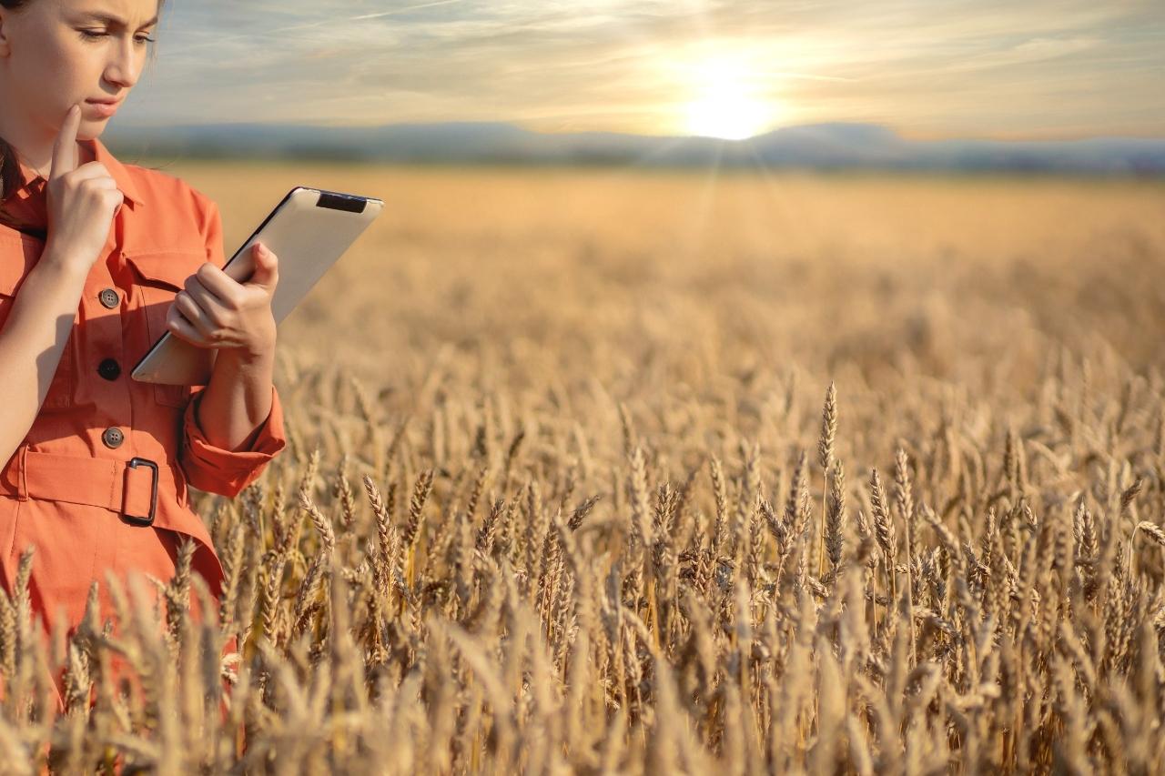 Quanto ganha um engenheiro agrônomo e como se tornar um?